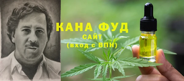 ECSTASY Алзамай