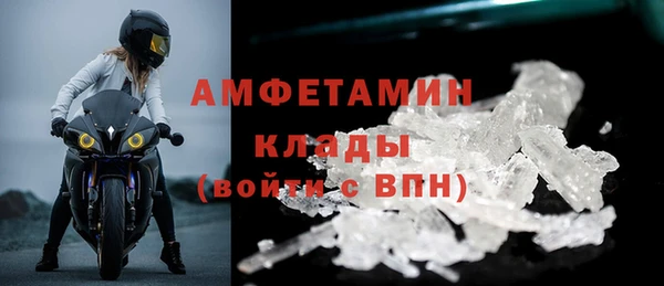 ECSTASY Алзамай