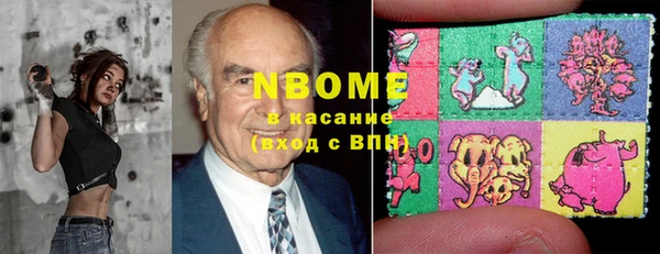 ECSTASY Алзамай